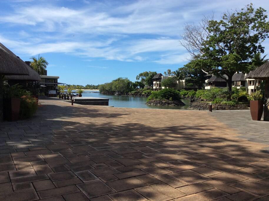 Anahita square