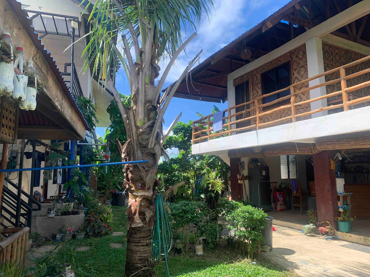 A tropical courtyard is presented, featuring a tall palm tree surrounded by lush greenery. Two buildings with wooden balconies are visible, with open spaces that invite natural light and airflow. The pathway is paved and leads to various areas, creating a welcoming atmosphere.
