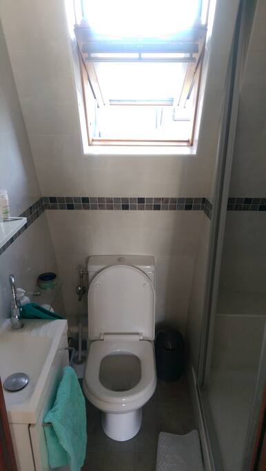 Clean toilet