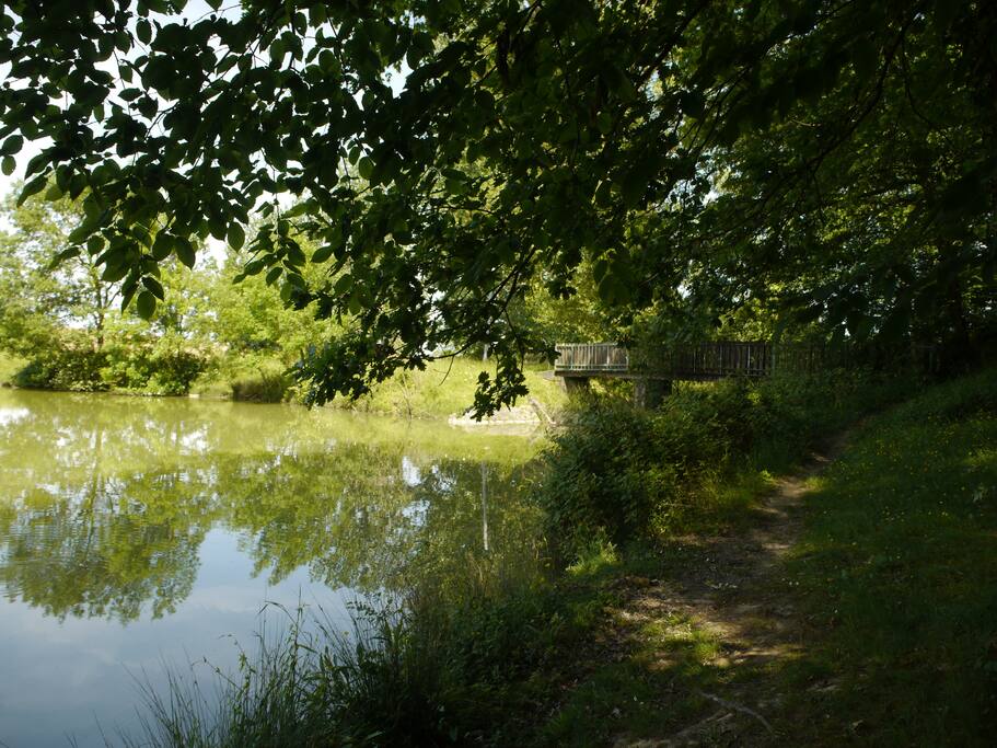 Promenade autour du lac