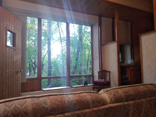 Serene Cabin for 1 at a Spiritual Retreat Center