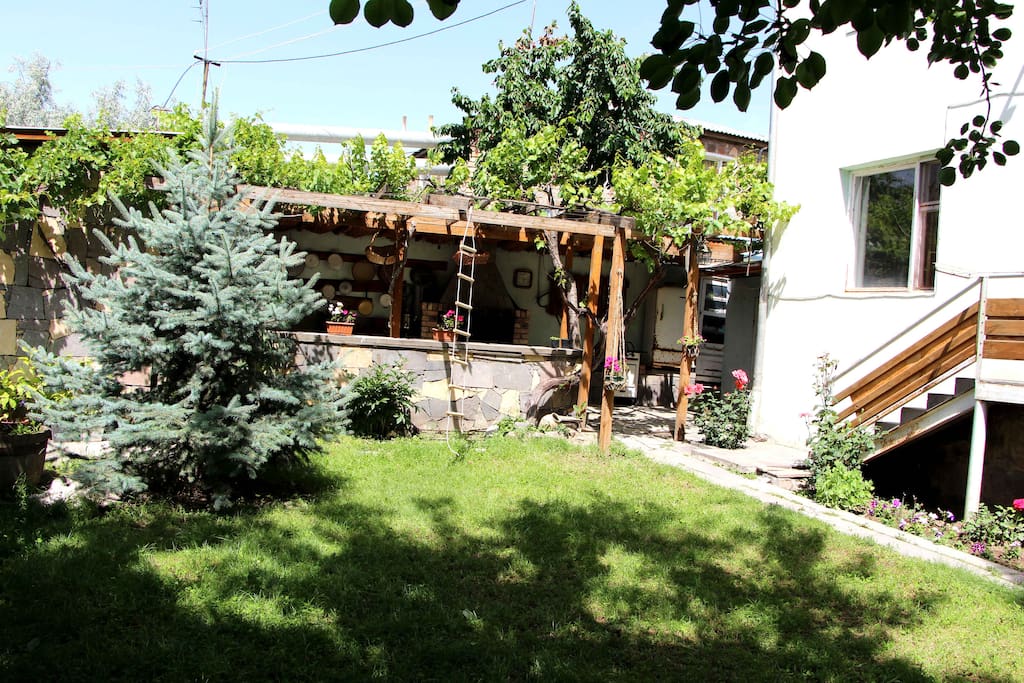 Our yard and outdoor kitchen
