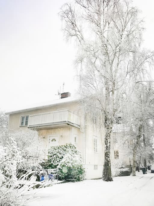 Lovely also in winter!