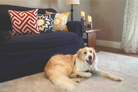 Convenient 2BR Pet Friendly Apartment