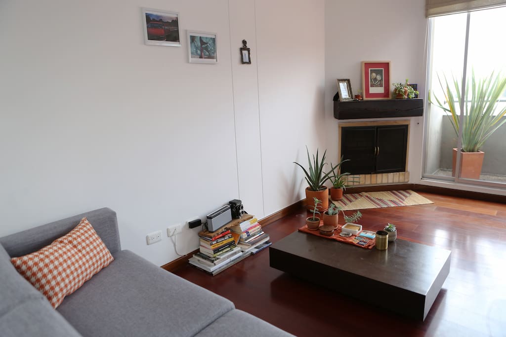Living room with fireplace...with plenty of firewood to stay warm!