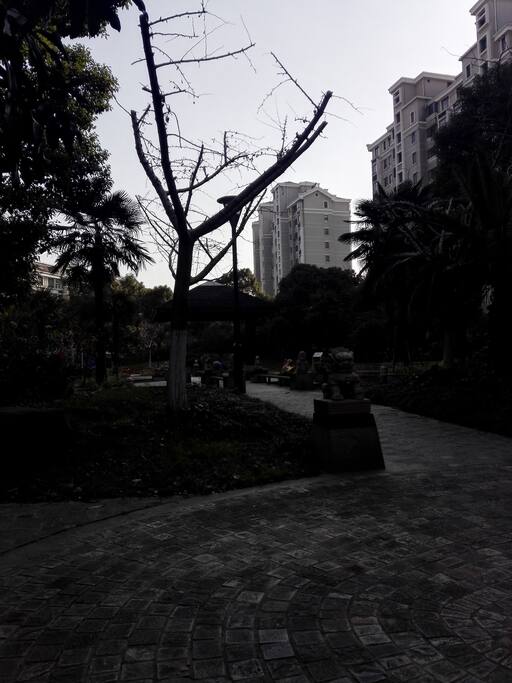 小区内景