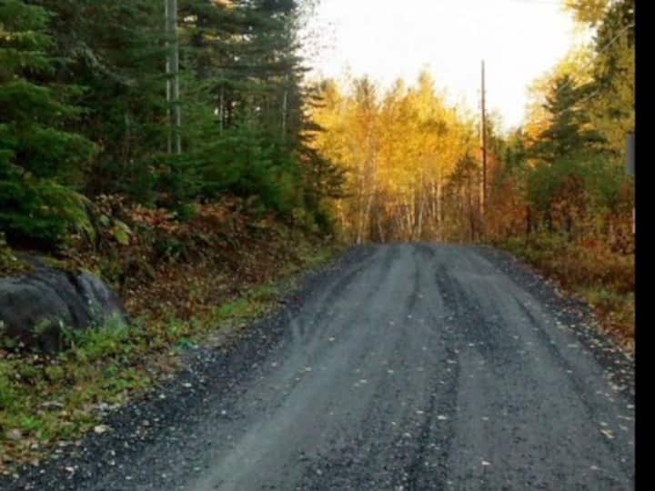 Top 12 Airbnb Vacation Rentals In Alma, Canada Updated 2024 Trip101