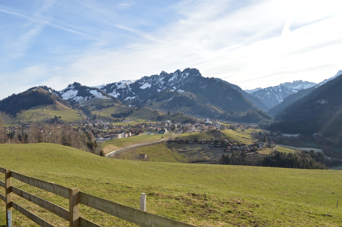 Epagny Vacation Rentals & Homes - Gruyères, Switzerland | Airbnb