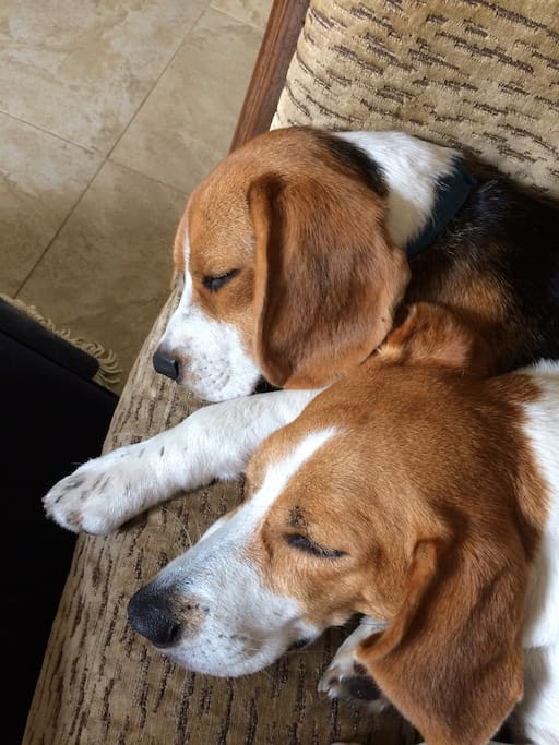 Yes, they are cute; No, you may not take them home with you...lol.