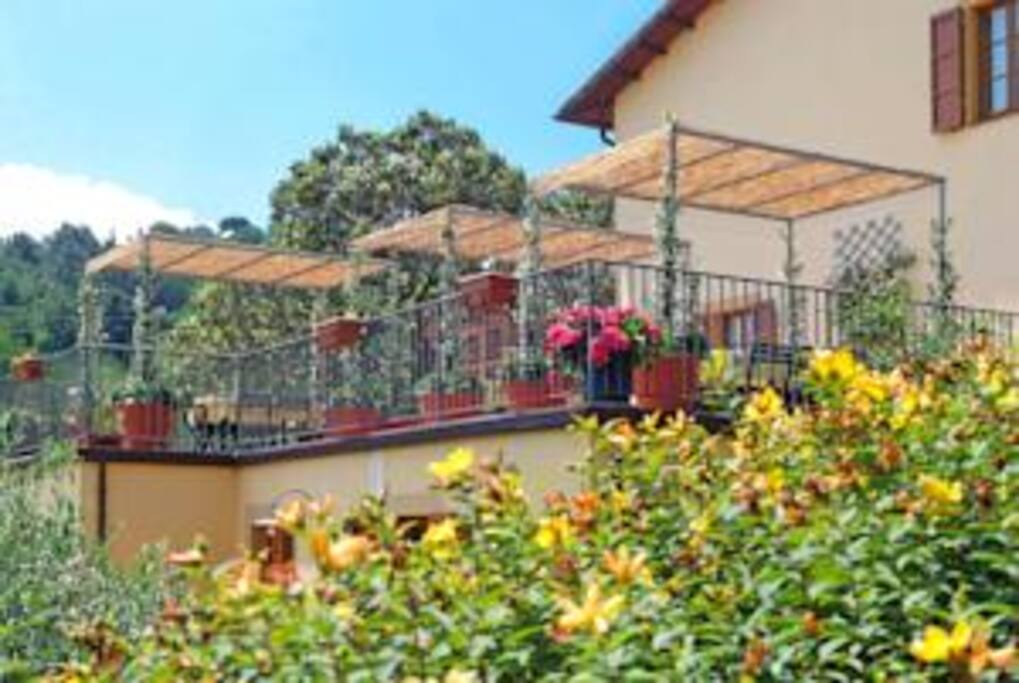 CASA