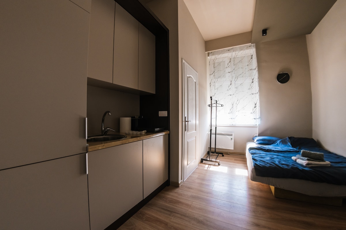 A studio space features a streamlined kitchenette with cabinetry and a sink. A comfortable sleeping area is visible, with a bed adorned in blue bedding. Natural light filters through a patterned window treatment, highlighting the light wooden flooring.