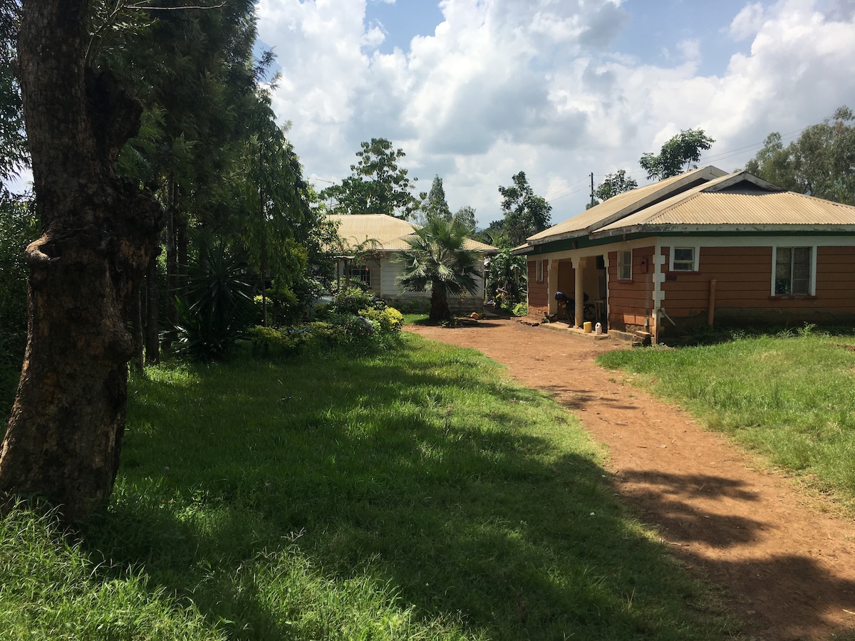 The image captures a quiet outdoor scene featuring two buildings along a sunlit pathway. Lush green grass and trees surround the area, providing a peaceful environment. The pathway leads to the entrances of the buildings, enhancing the welcoming atmosphere.