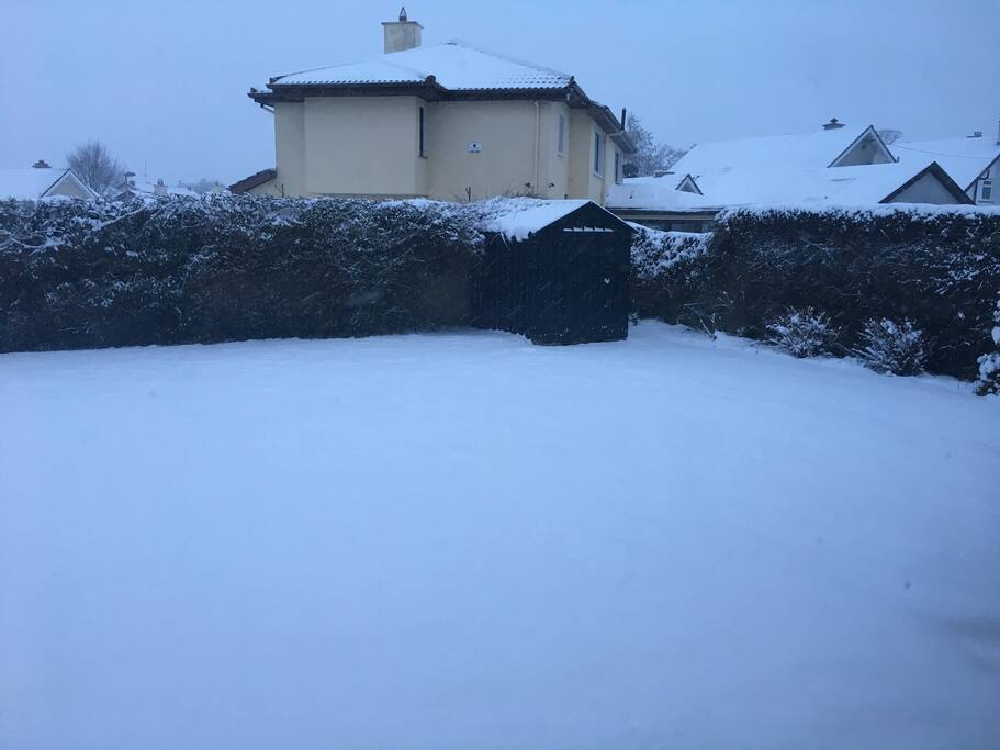 Garden in the winter