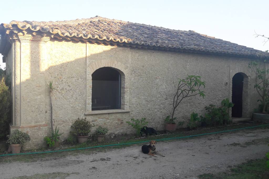 View of the house in front