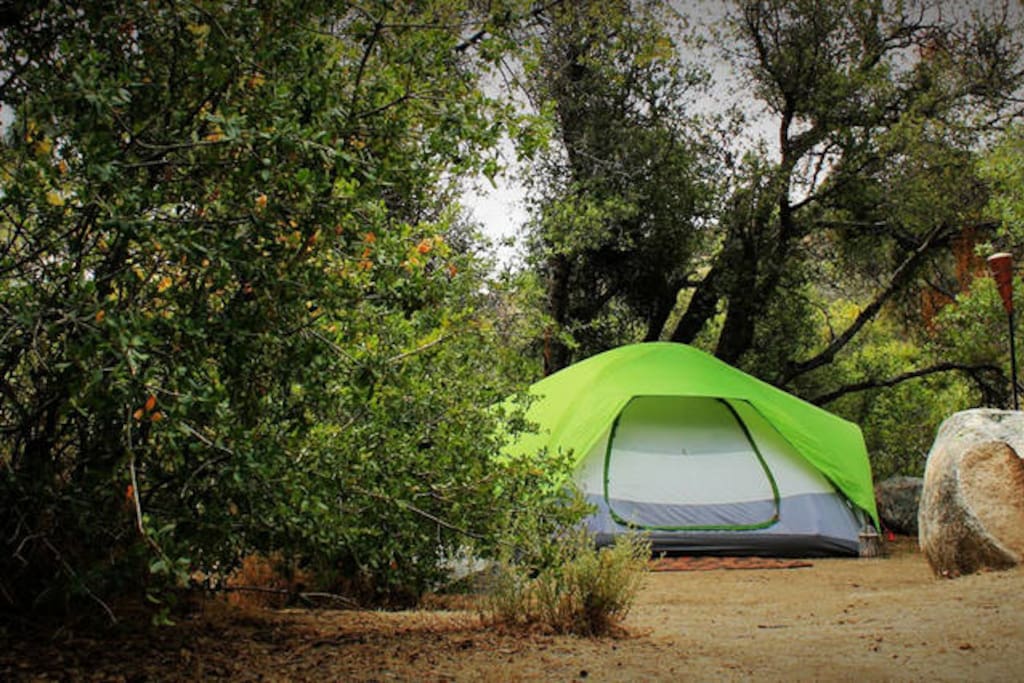 Campsite #5