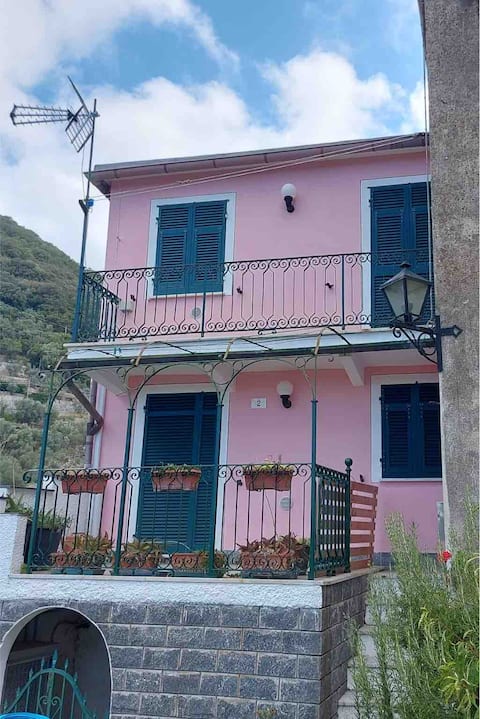 Casa del Geco