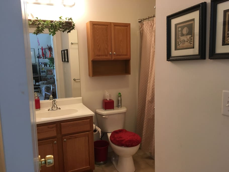 Guest bathroom