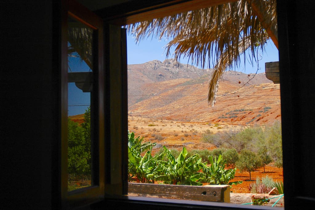 View through the bedroom's window.