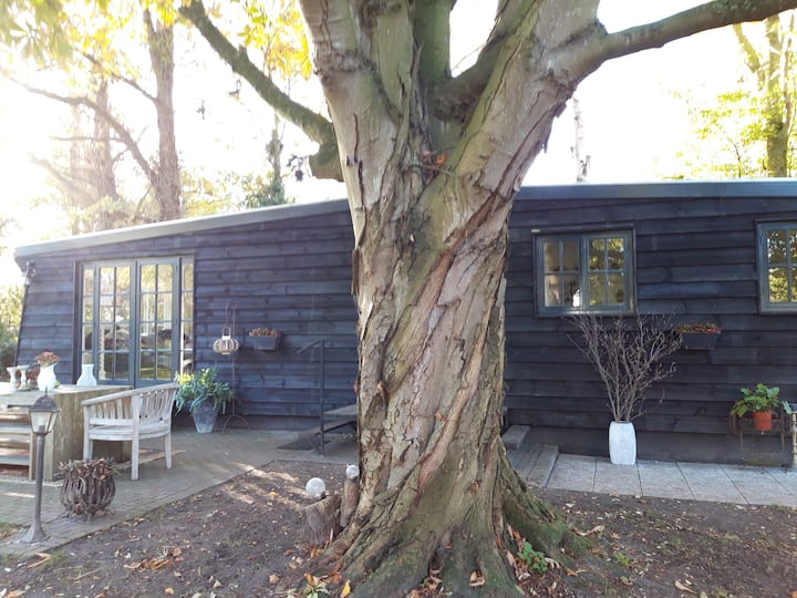 Chalet under the chestnuts.
up to 2 people.