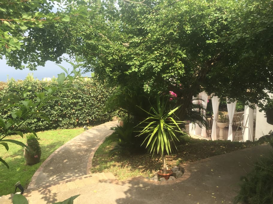 Giardino