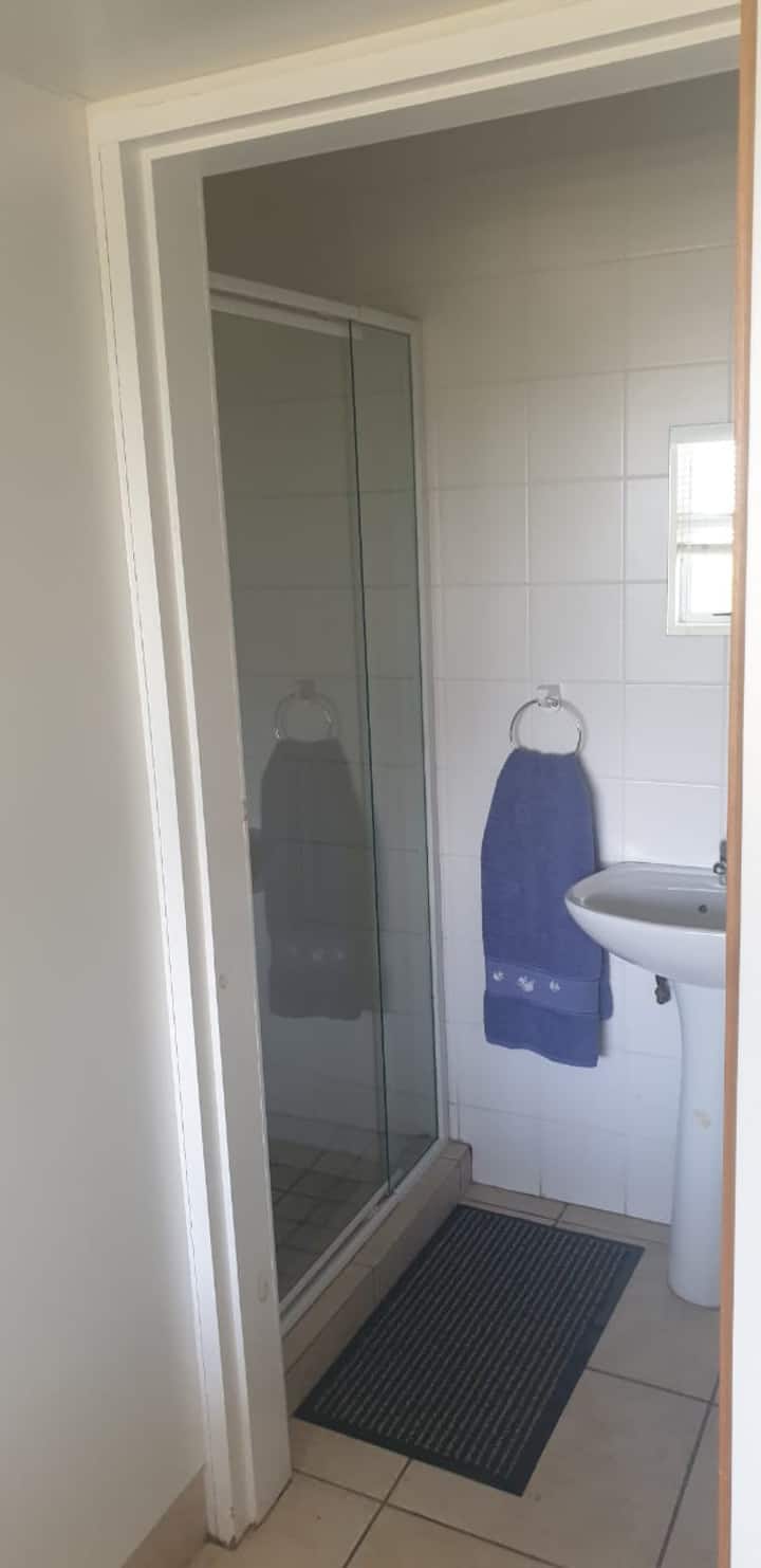 Main bedroom shower and toilet