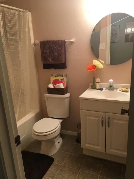 Downstairs Bathroom