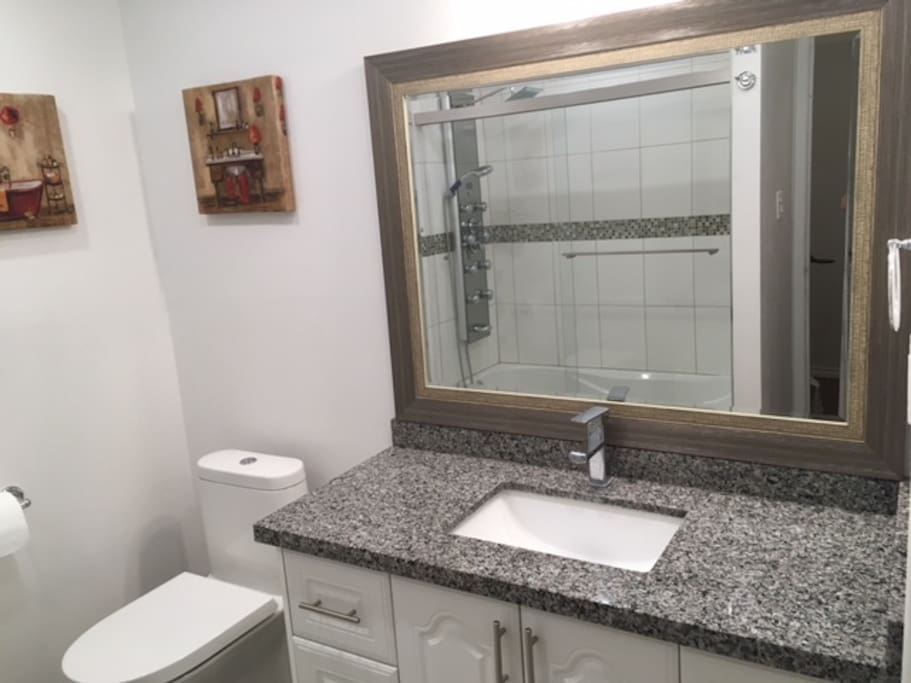 Washroom Vanity and Toilet