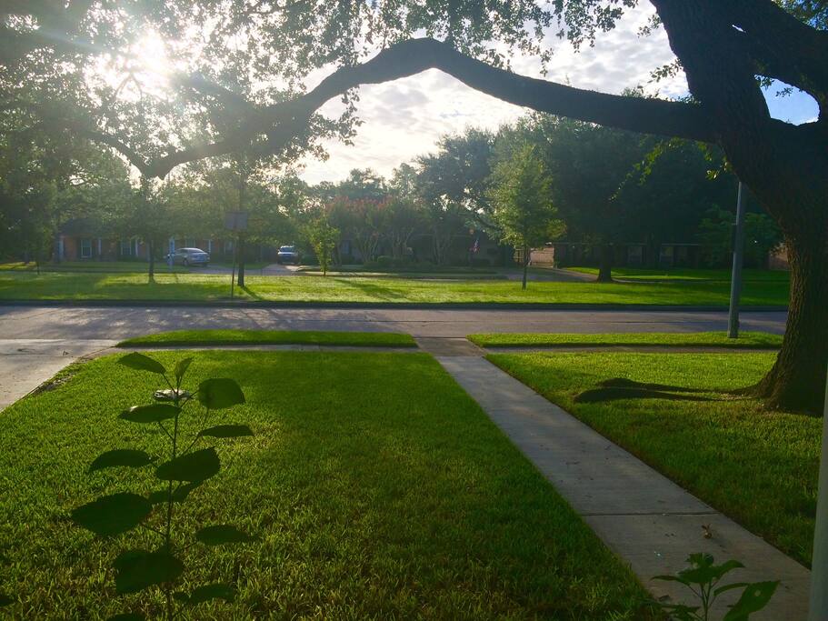 Good morning, H-Town!