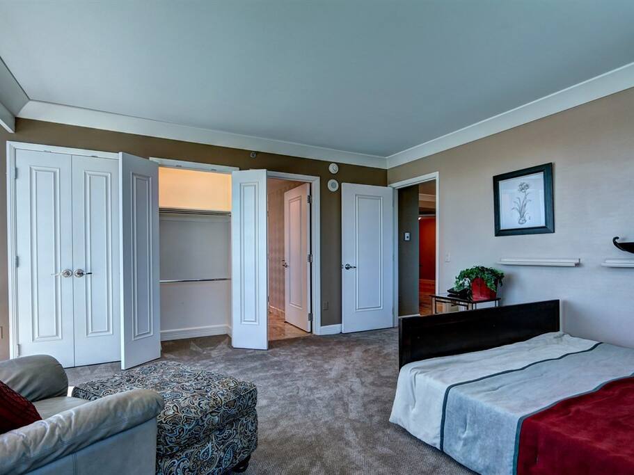 Master bedroom with 2 lighted closets.