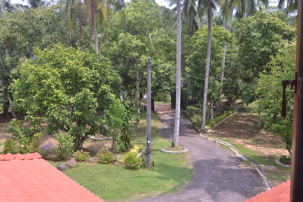View from the second floor
