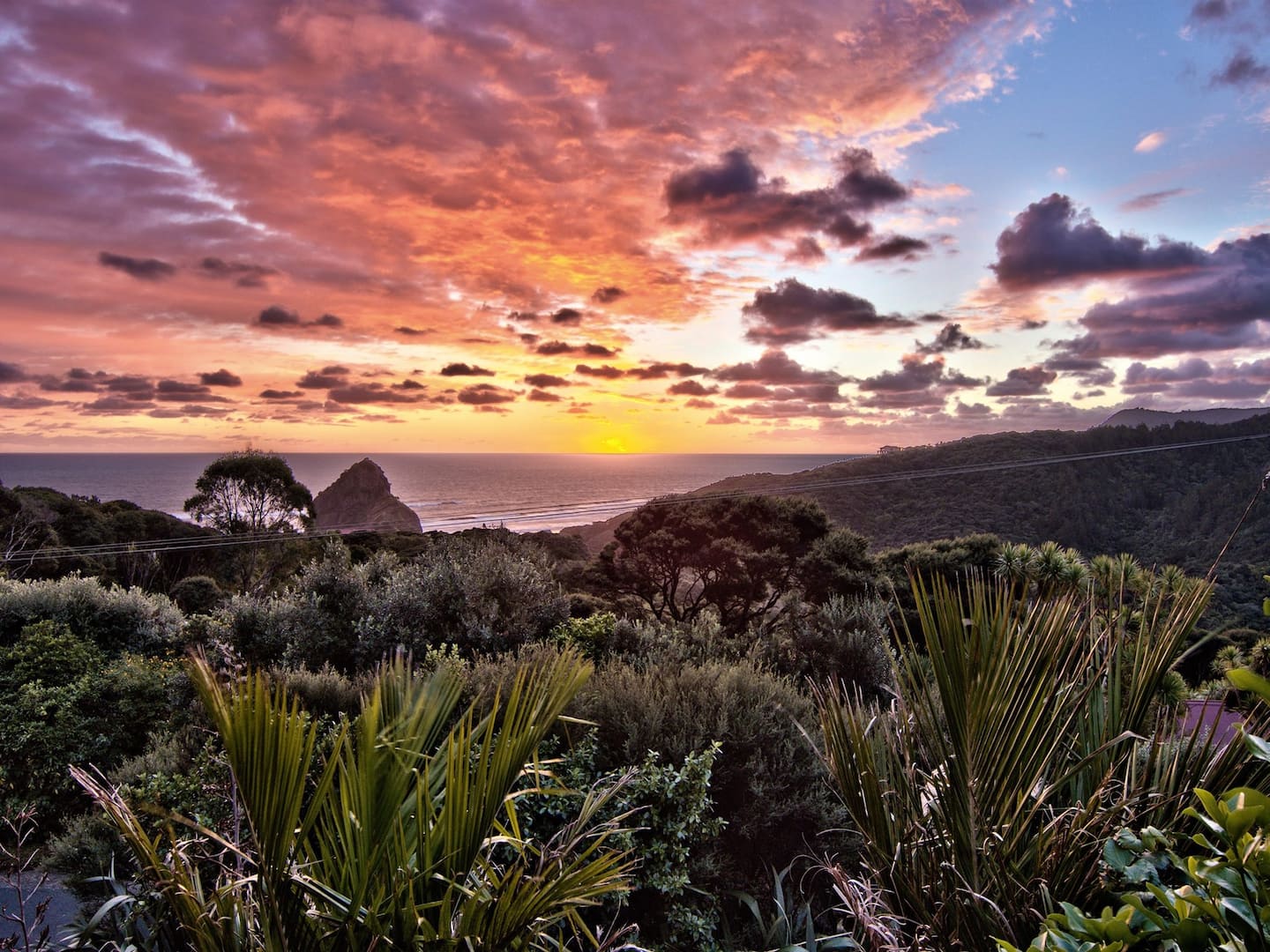 Piha Retreat - Fivependrell 3