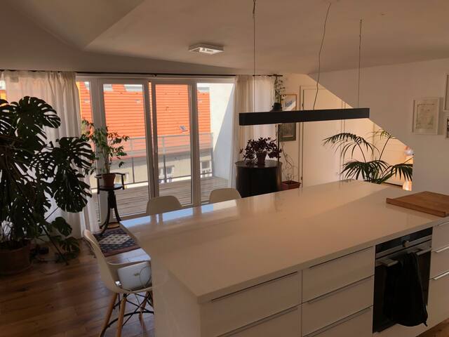 Helles Loft 110 qm mit toller Dachterrasse 100 qm gallery image 5