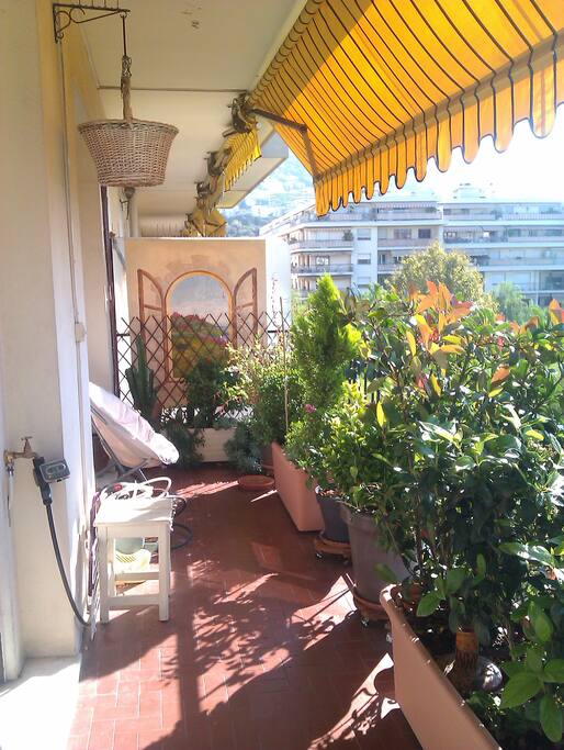 La terrasse arborée