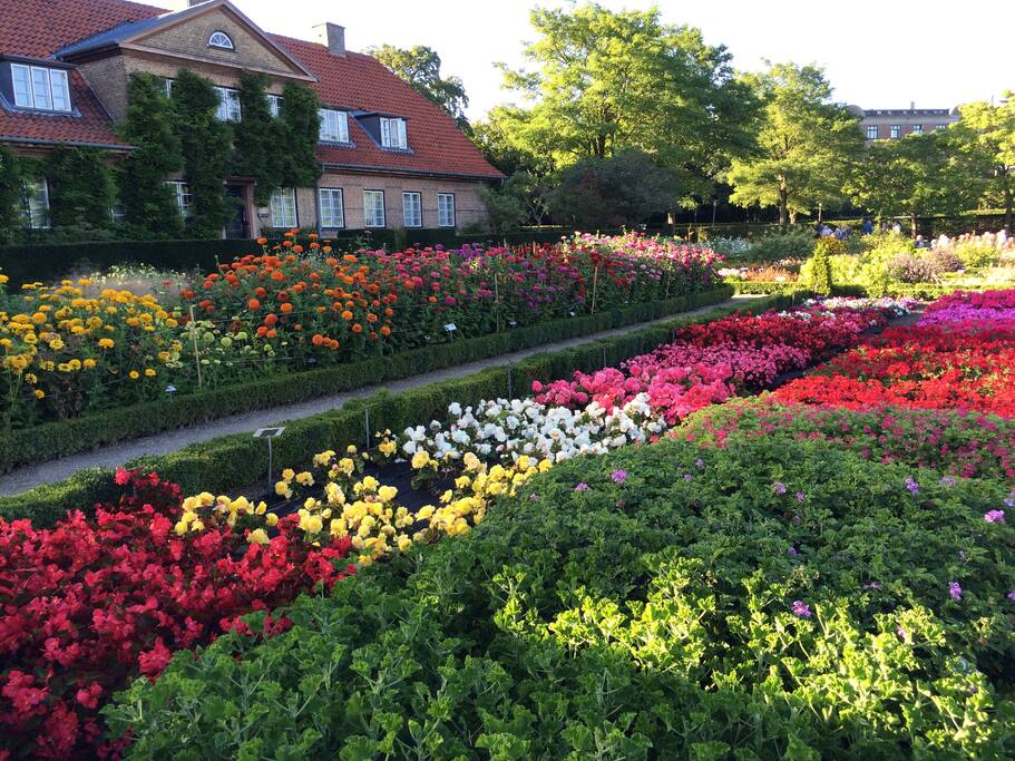 The garden of Landbo Højskolen, has a cafe