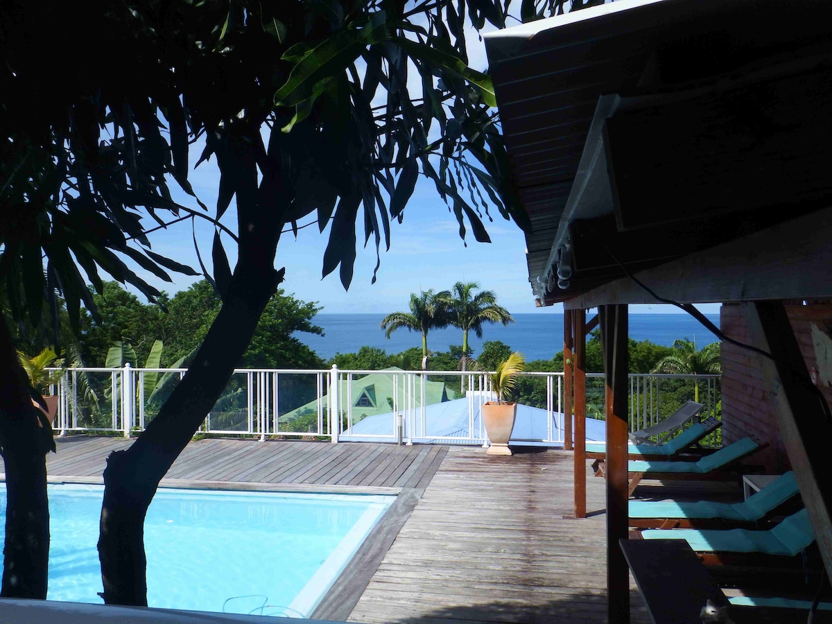 A serene view of a shared salt-water pool is framed by lush greenery and palm trees. The wooden deck is highlighted by sun loungers, with vibrant blue waters reflecting the clear sky. The backdrop features a glimpse of the Caribbean Sea in the distance.