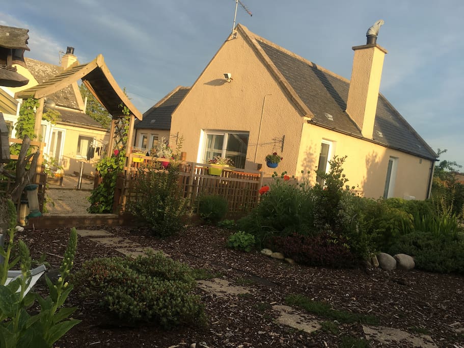 Our back garden