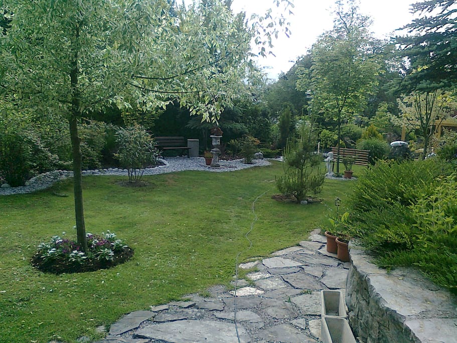 our garden