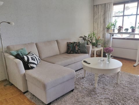 Top performing Airbnb: Spacious two-room apartment with sauna Near Olavinlinna in Savonlinna