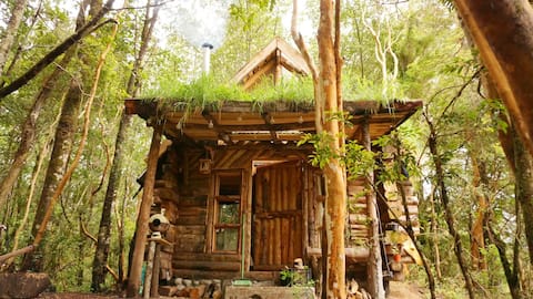 Self-sustainable tiny house in Río Puelo