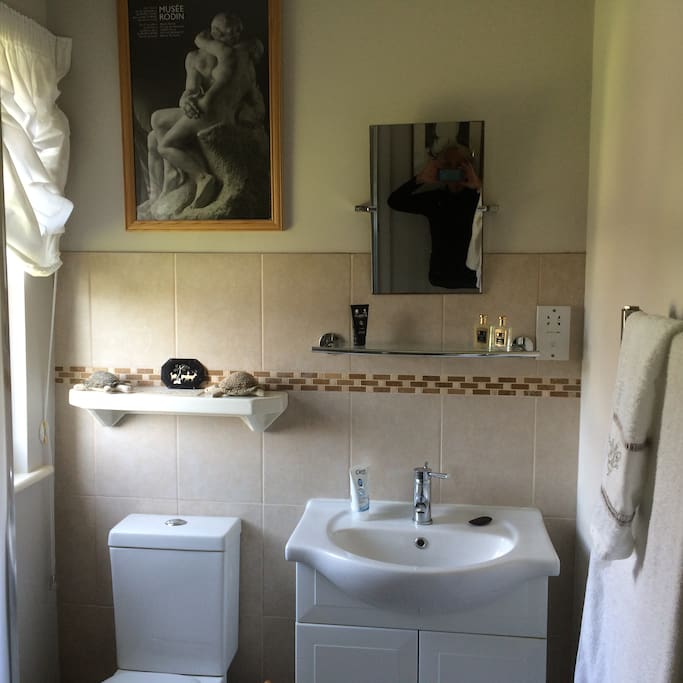 Adjacent bathroom with shower