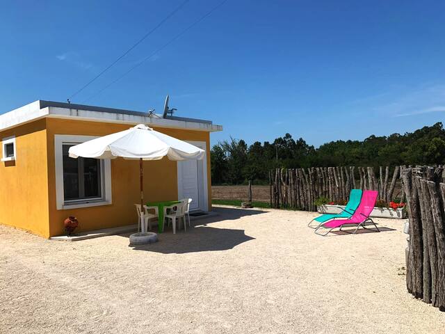 Get Poliban maison de plage For Free