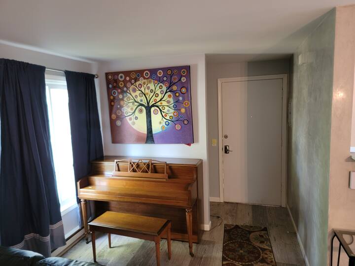 Newly Remodeled Apartment