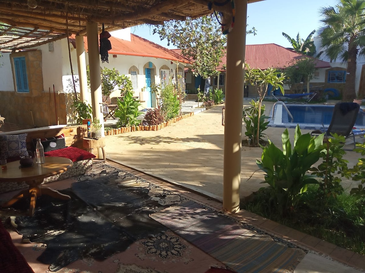 A shaded outdoor area featuring a rustic seating arrangement with cushions and low tables. Lush green plants surround a sandy courtyard, leading to a refreshing pool area and colorful buildings with terracotta roofs, encouraging relaxation and tranquility.