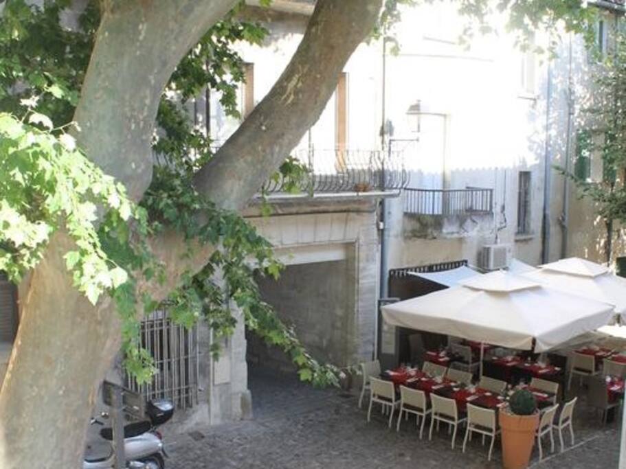 L'appartement donne vue sur la Place Plaisance / View from the window