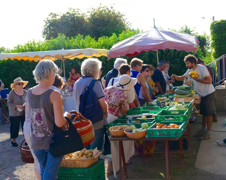 La vente à la ferme a lieu sur place le jeudi