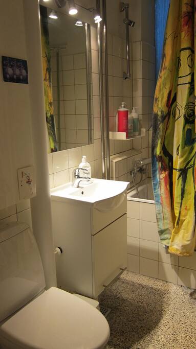 The bathroom with a small bathtub and shower