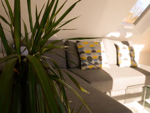 Popular Airbnb listing: Bright, stylish flat with beautiful views in Morningside