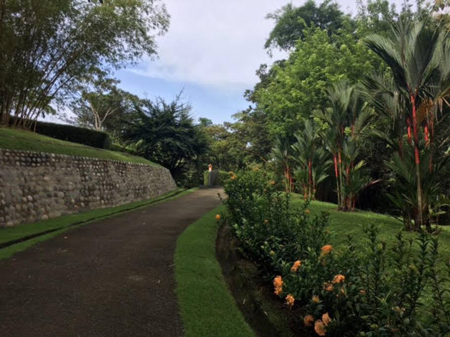 Driveway & Gate