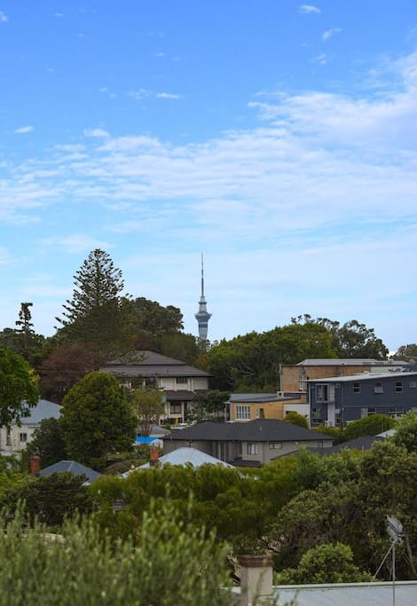 View of Sky Tower from our top floor