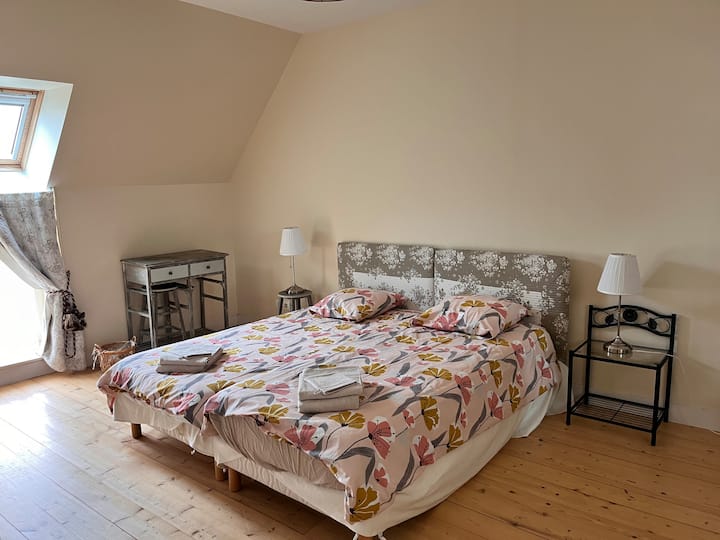 Habitación 2